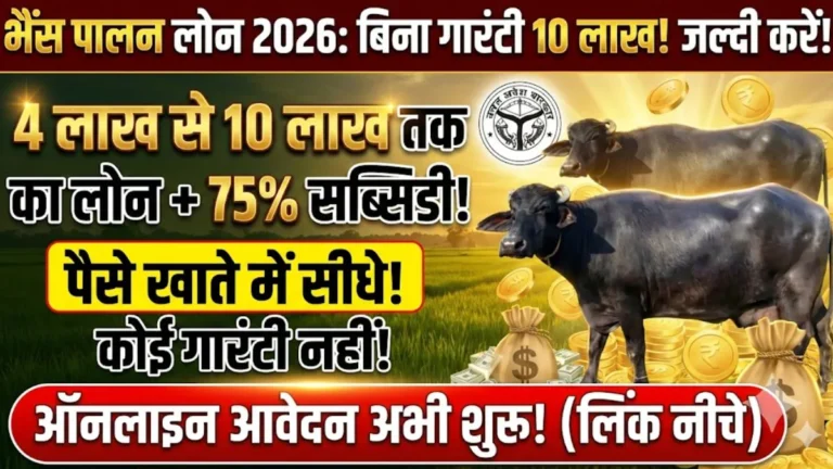भैंस पालन लोन योजना